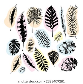 illustration set of tropical plants and leaves, hand drawn style, outline sketch.