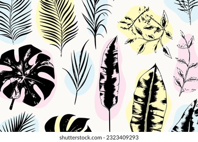 illustration set of tropical plants and leaves, hand drawn style, outline sketch.