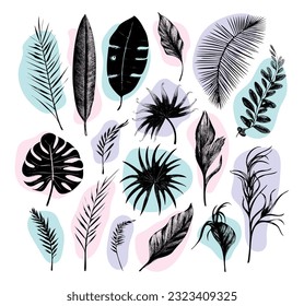 illustration set of tropical plants and leaves, hand drawn style, outline sketch.