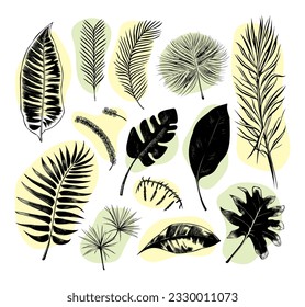 illustration set of tropical plants and leaves, hand drawn style, outline sketch.
