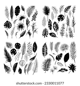 illustration set of tropical plants and leaves, hand drawn style, outline sketch.