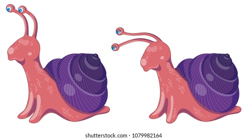 Illustration of set of two cute colorful vector snails on a white background