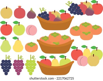 Illustration set of various autumn fruits
