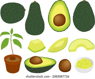 Illustrationsset verschiedener Avocados