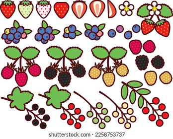 Illustrationssatz verschiedener Beeren