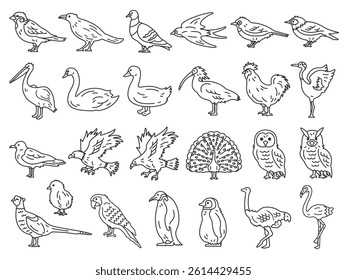 Illustration set of various birds (line drawings).
