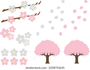 Illustration set of various cherry blossoms