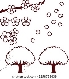 Illustration set of various cherry blossoms