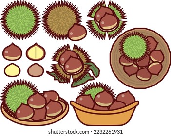 Illustration set of various chestnuts