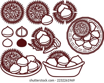 Illustration set of various chestnuts