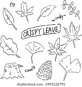 Illustration of a set of various fallen leaves,