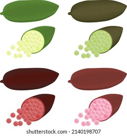 Illustration set of various finger limes