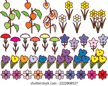 Conjunto de ilustraciones de varias flores
