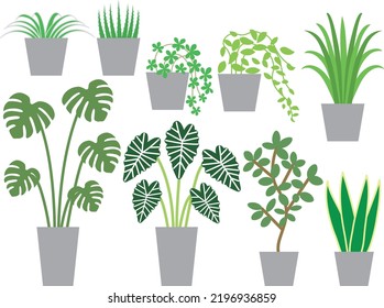 Illustration set of various foliage plants