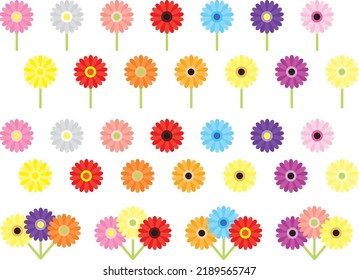 Illustrationssatz verschiedener Gerbera