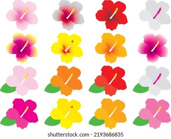 Illustration set of various hibiscus