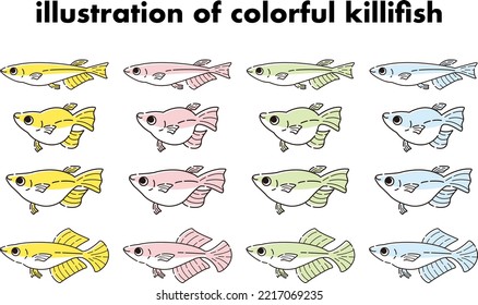 Illustration set of various kinds of colorful killifish