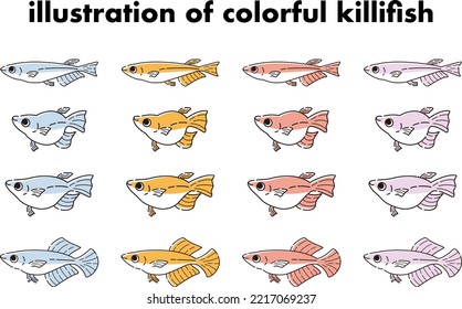 Illustration set of various kinds of colorful killifish