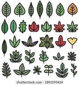 Illustration set of various leaves