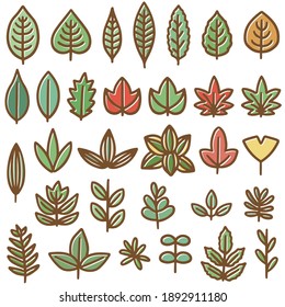 Illustration set of various leaves