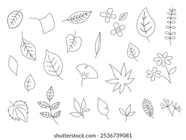Illustration set of various leaves