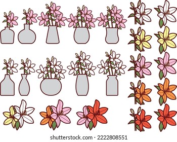 Illustration set of various lilies