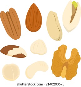 Illustration set of various nuts