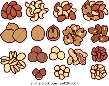 Conjunto de ilustraciones de varias nueces