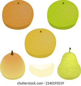 Illustration set of various pears