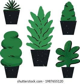 Illustration set of various plnats