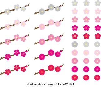 Conjunto de ilustraciones de varias ciruelas