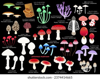 Illustration set of various poisonous mushrooms.