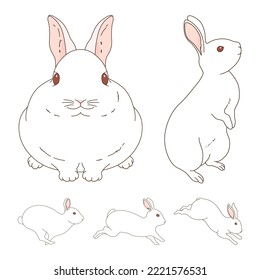 Illustration set of various rabbits.