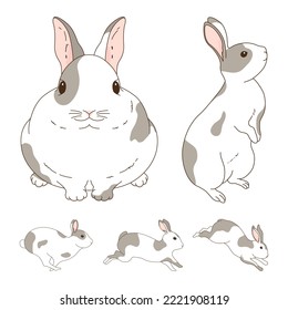 Illustration set of various rabbits.