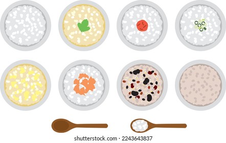 Illustration set of various rice porridge