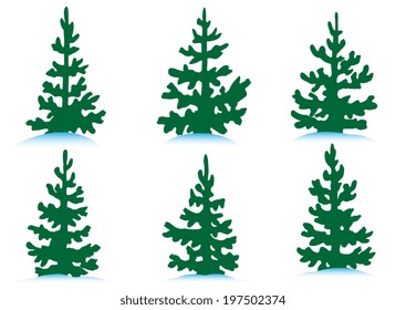 Illustration set of various spruces in snow on a white background