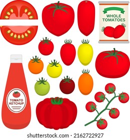 Illustration set of various tomatoes