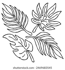 an illustration set of various tropical plant leaves in black and white hand drawn outline drawing style