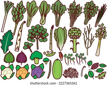 Illustration set of various vegetables