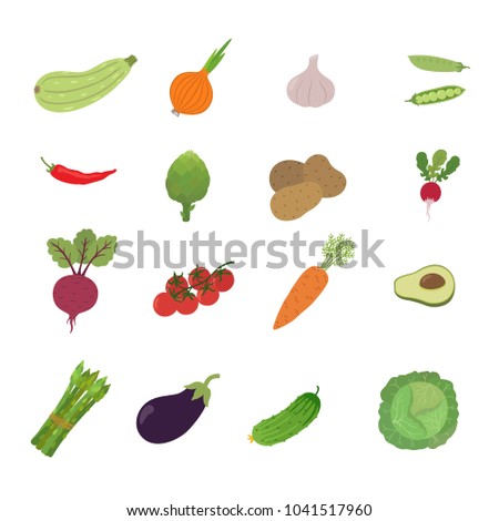 illustration set vegetable