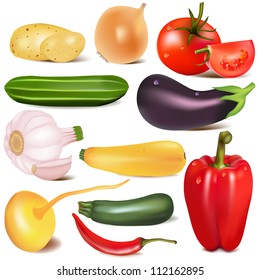 illustration set vegetable with joint by turnip eggplant