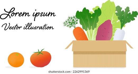 Illustration set of vegetables  filled with beautiful gradation colors in a mail box
