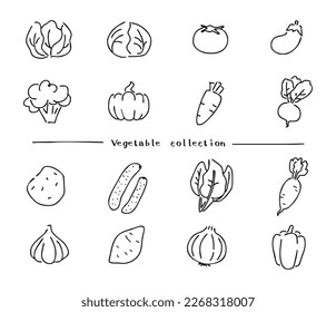 Illustration set of vegetables like handwriting.