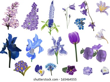 illustration with set of violet flowers collection isolated on white background