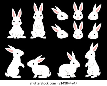 Illustration set white rabbits facing various directions (whole body   face)