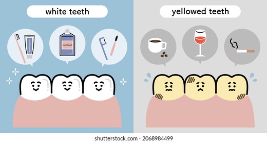 illustration set of white teeth and yellowed teeth