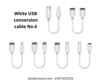 It is an illustration set of the white USB conversion cable No.6.
