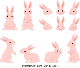 Illustration set of whole body and face of pink rabbits