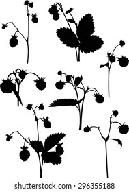 illustration with set of wild strawberry branches silhouettes isolated on white background