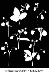 illustration with set of wild strawberry branches silhouettes isolated on black background